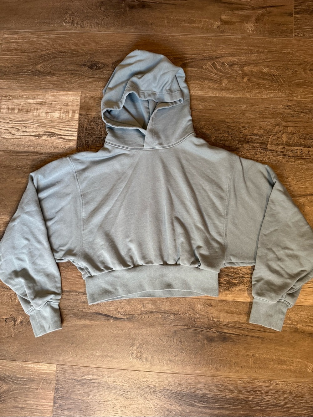 Aritzia TNA Cropped Hoodie Sweatshirt - Light Blue